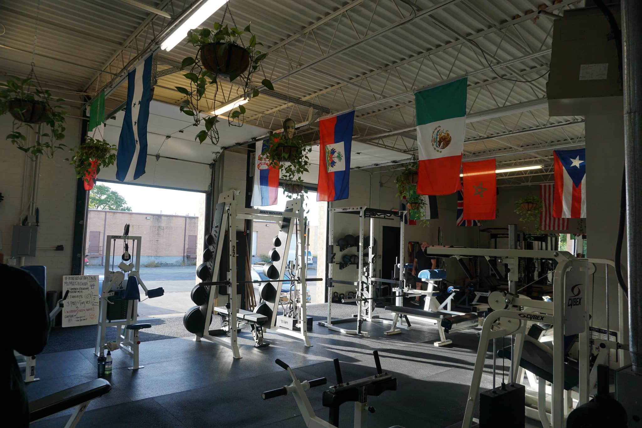 Mo Muscle Gym