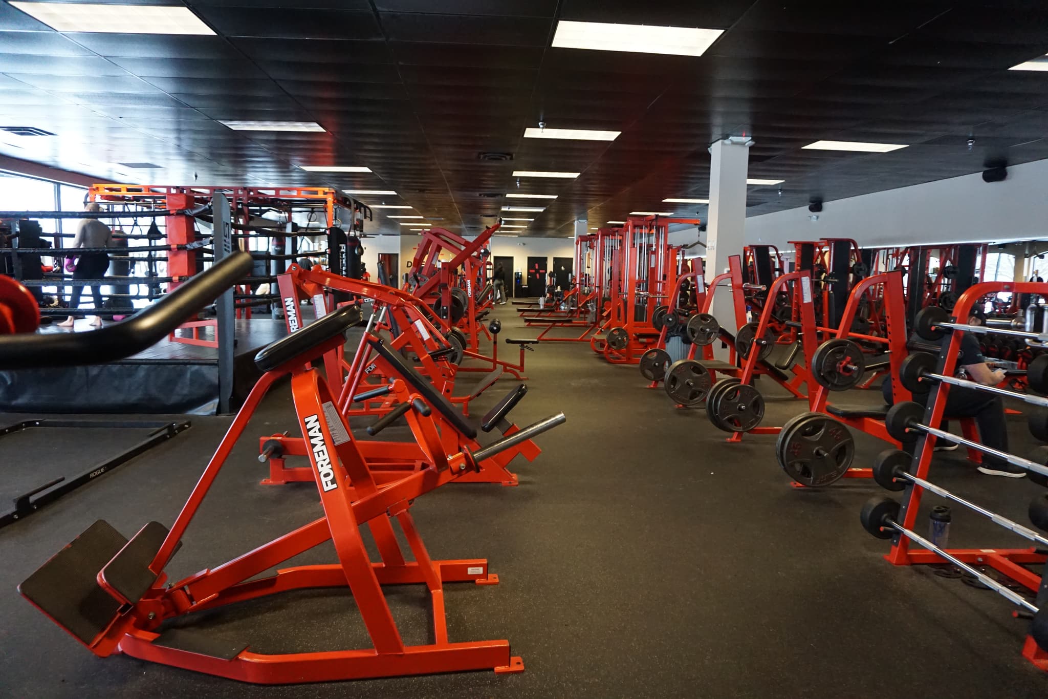 Mo Muscle Self Made Gym